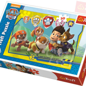 TREFL Puzzle Ryder a přátelé Paw Patrol 27x20cm 30 dílků skládačka v krabici