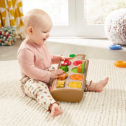 FISHER PRICE Baby zvířátka vyskakující pro miminko plast