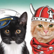 TREFL PUZZLE Panoramatické kočky s čepicemi skládačka 66x23,5cm 500 dílků