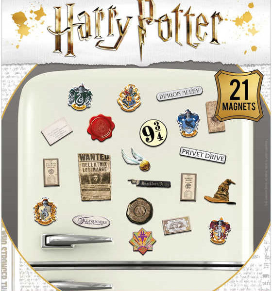 Magnetky Harry Potter set 21ks na kov