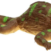 Zvířátko chameleon měnící barvu 20cm reaguje na teplo různé druhy