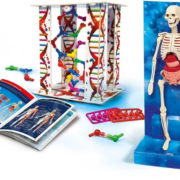 CLEMENTONI Dětská laboratoř - Lidské tělo Science and Play