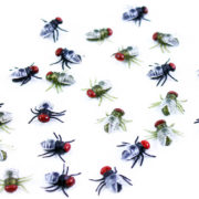 Moucha malá gumová 1,5cm set 24ks dekorace Halloween hmyz v sáčku