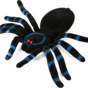 Zvířátko dekorace halloween pavouk velký na kartě plast