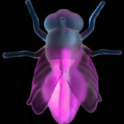 Moucha 8cm hmyz ve tmě svítící dekorace přívěšek Halloween v sáčku