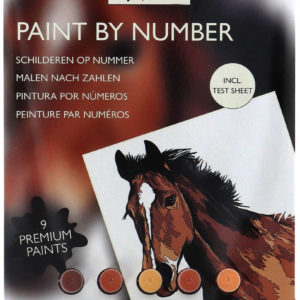 Malování podle čísel kůň kreativní set obrazek A4 s barvičkami a štětcem