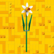 LEGO ICONS Narcisy 40747 STAVEBNICE