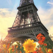 TREFL PUZZLE Foto Eiffelova věž s květinami 300 dílků 16x48cm 175000
