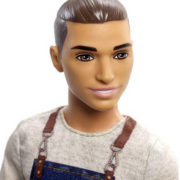 MATTEL BRB Barbie panák Ken povolání tematický set s doplňky 4 druhy